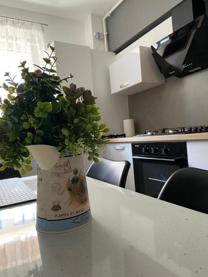Qualis Apartament Brasov Ngoại thất bức ảnh